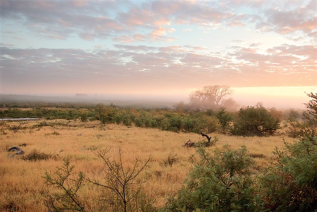 Kruger National Park: The Jewel of South Africa’s Wildlife
